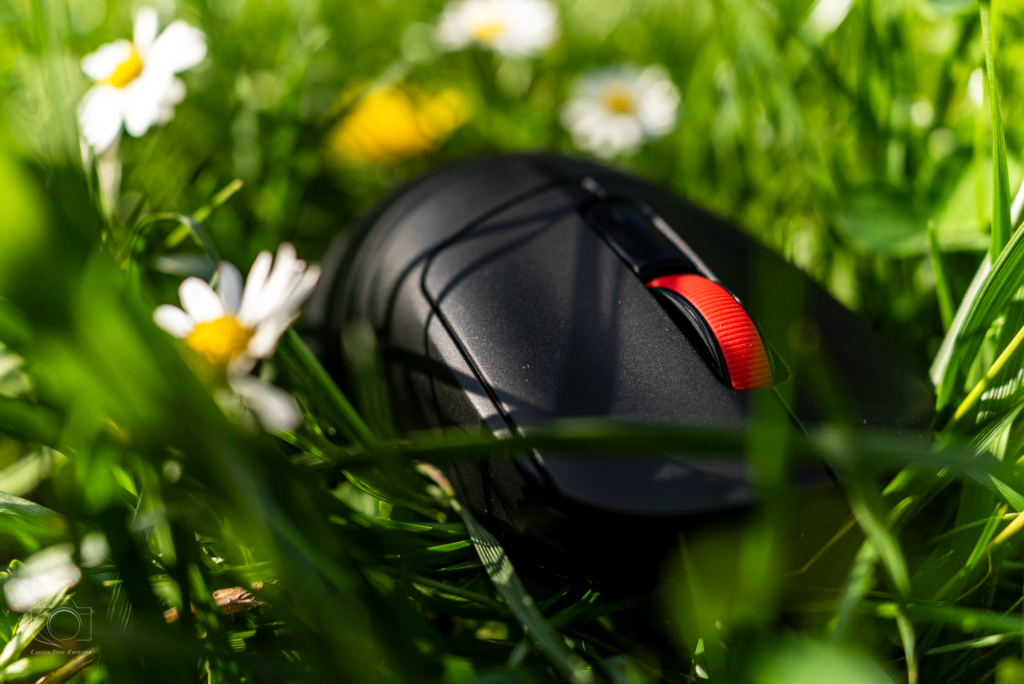 Marvo Niro 60W